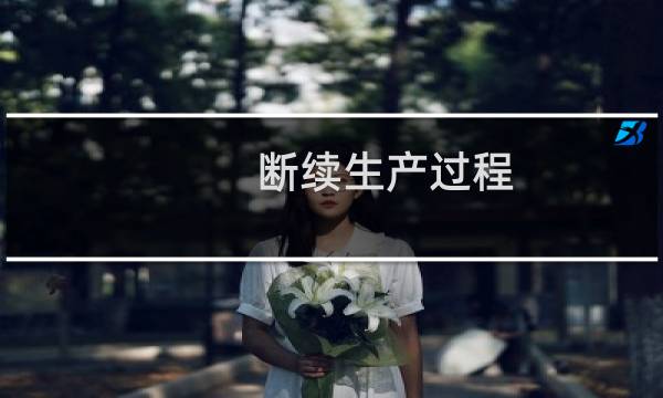 断续生产过程(关于断续生产过程的简介)