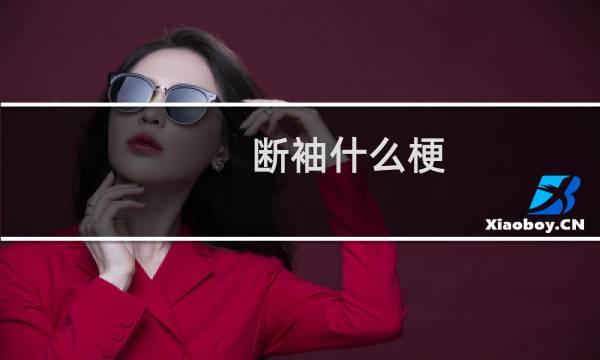 断袖什么梗