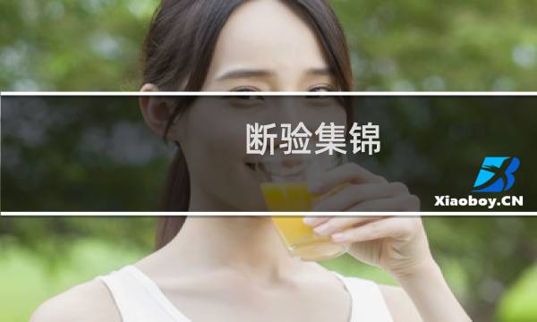 断验集锦(关于断验集锦的简介)图片