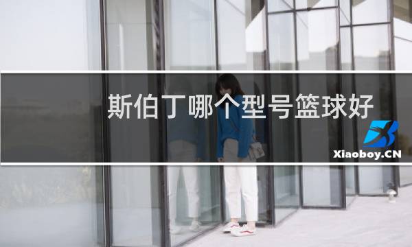 斯伯丁哪个型号篮球好
