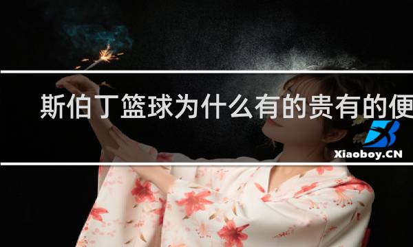 斯伯丁篮球为什么有的贵有的便宜