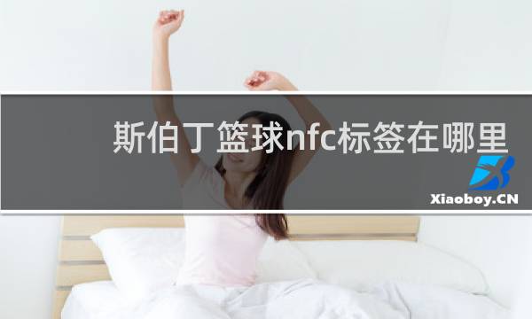 斯伯丁篮球nfc标签在哪里