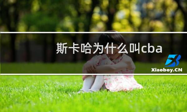 斯卡哈为什么叫cba