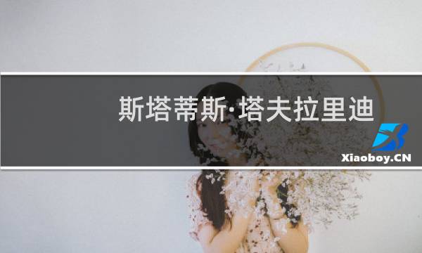 斯塔蒂斯·塔夫拉里迪斯(关于斯塔蒂斯·塔夫拉里迪斯的简介)图片