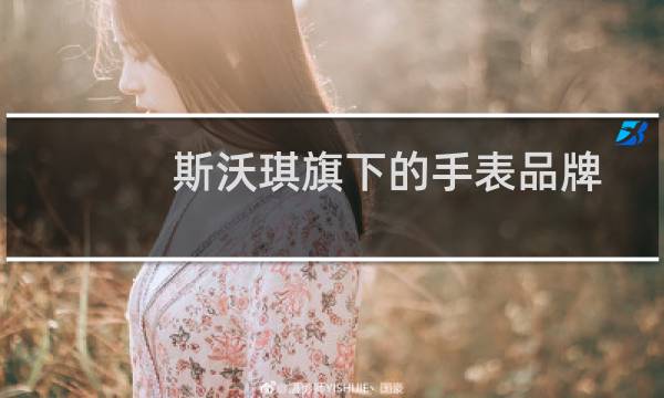 斯沃琪旗下的手表品牌（斯沃琪）图片