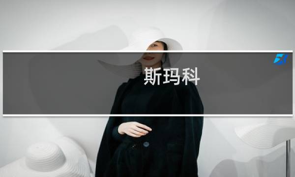 斯玛科(关于斯玛科的简介)