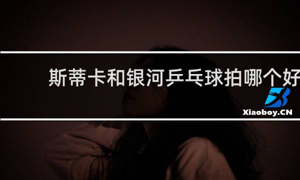 斯蒂卡和银河乒乓球拍哪个好