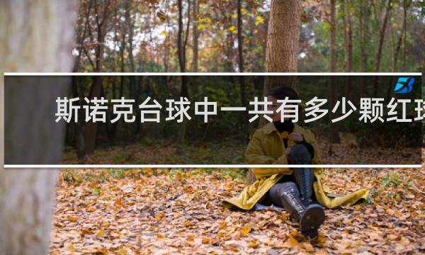 斯诺克台球中一共有多少颗红球