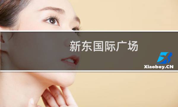 新东国际广场(关于新东国际广场的简介)图片