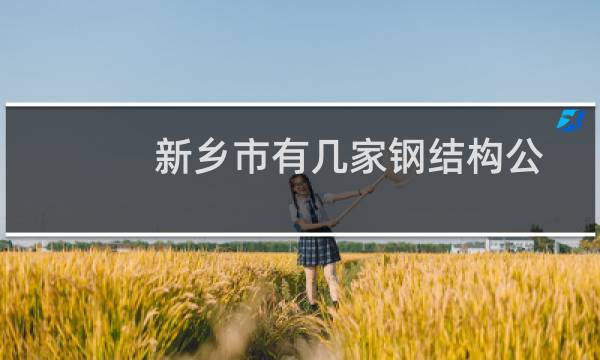 新乡市有几家钢结构公司（新乡市有几家电影院）