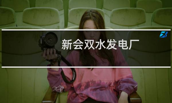 新会双水发电厂(关于新会双水发电厂的简介)