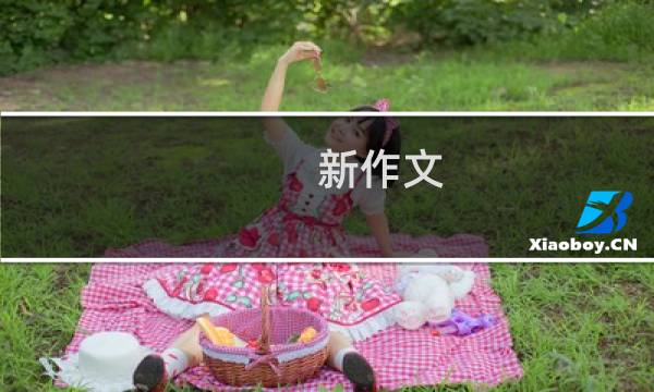 新作文：中学教学版(关于新作文：中学教学版的简介)