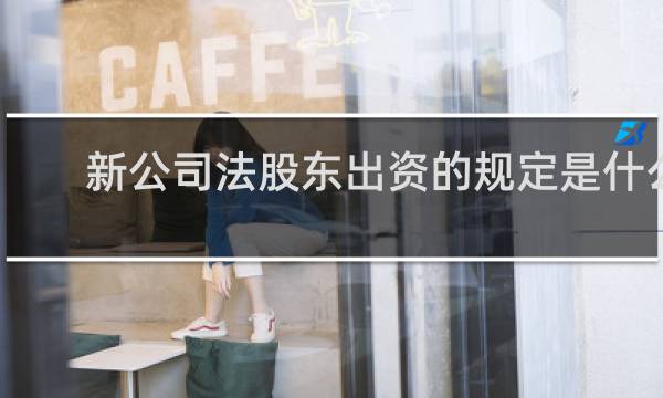 新公司法股东出资的规定是什么