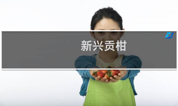 新兴贡柑（新兴县特产）