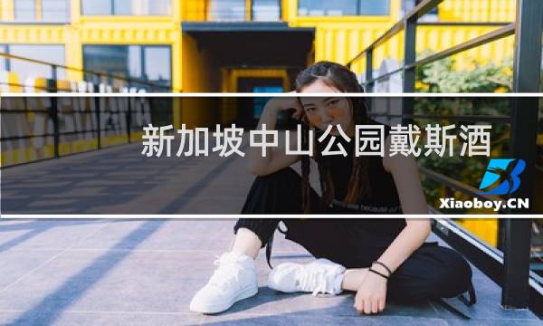 新加坡中山公园戴斯酒店(关于新加坡中山公园戴斯酒店的简介)图片