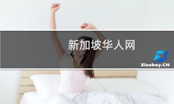 新加坡华人网(关于新加坡华人网的简介)图片