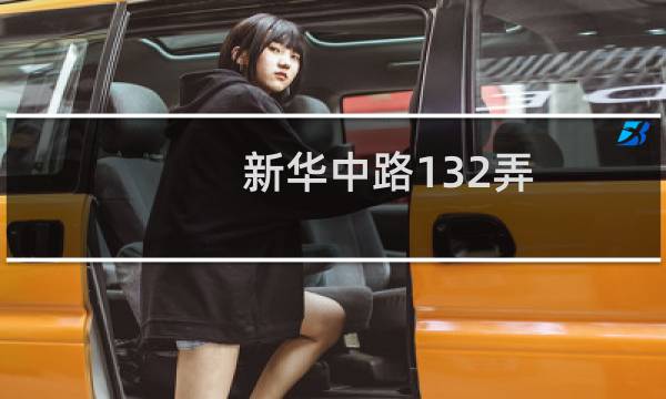 新华中路132弄(关于新华中路132弄的简介)图片