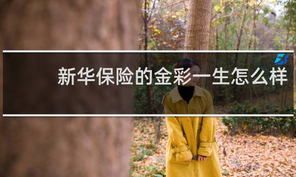新华保险的金彩一生怎么样图片