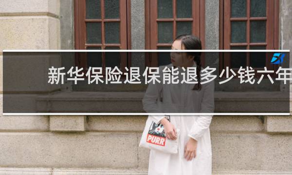 新华保险退保能退多少钱六年图片