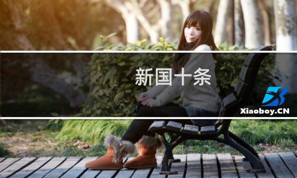 新国十条
