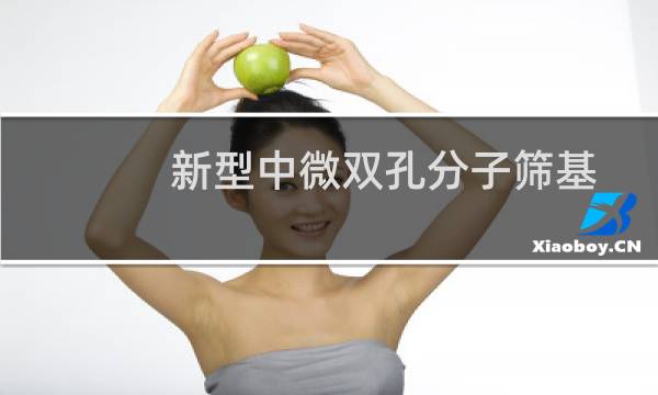 新型中微双孔分子筛基燃油超深度加氢脱硫催化剂研究(关于新型中微双孔分子筛基燃油超深度加氢脱硫催化剂研究的简介)图片