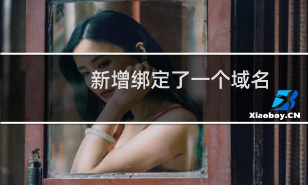 新增绑定了一个域名 网站无法访问