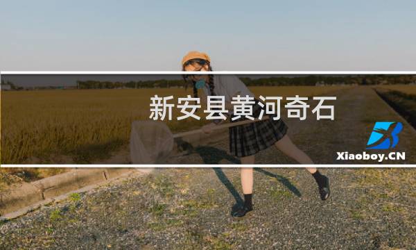 新安县黄河奇石（新安特产）