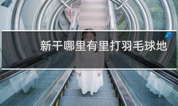 新干哪里有里打羽毛球地