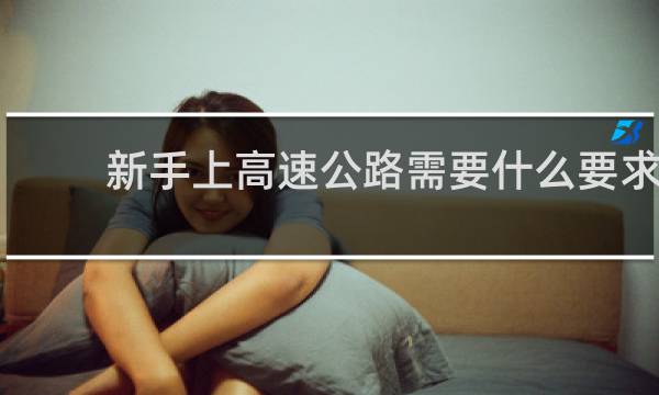 新手上高速公路需要什么要求