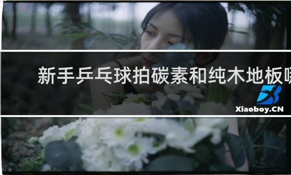 新手乒乓球拍碳素和纯木地板哪个好
