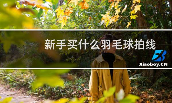 新手买什么羽毛球拍线