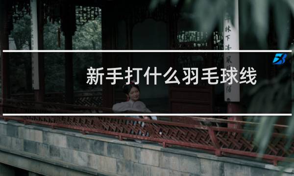 新手打什么羽毛球线