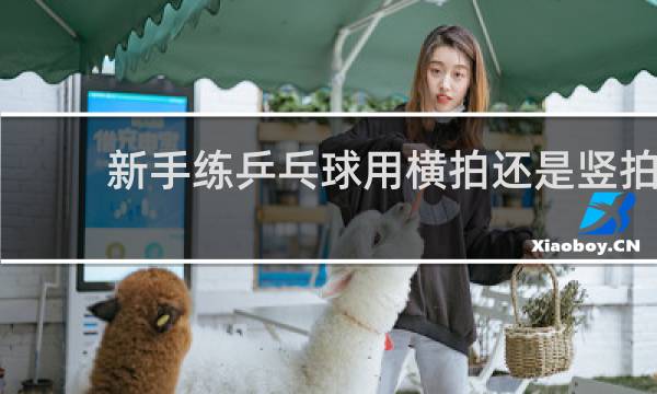 新手练乒乓球用横拍还是竖拍