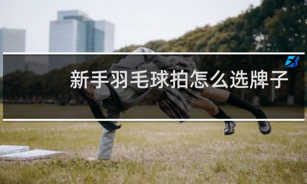 新手羽毛球拍怎么选牌子