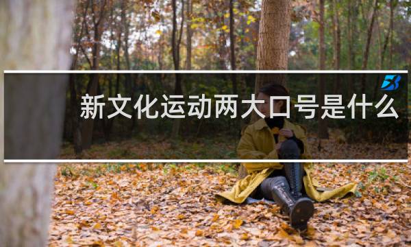 新文化运动两大口号是什么