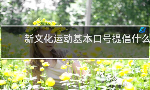 新文化运动基本口号提倡什么