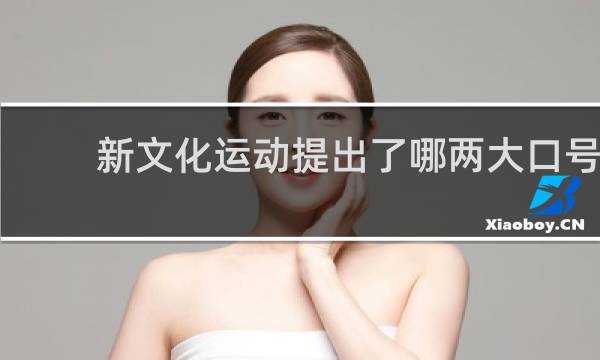 新文化运动提出了哪两大口号