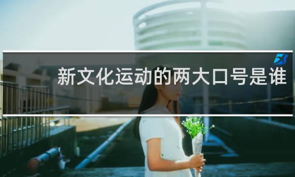 新文化运动的两大口号是谁