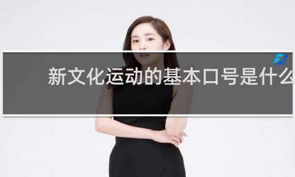 新文化运动的基本口号是什么