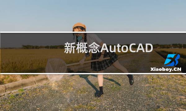 新概念AutoCAD2008建筑制图教程(关于新概念AutoCAD2008建筑制图教程的简介)图片