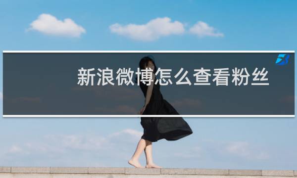 新浪微博怎么查看粉丝微博号（新浪微博怎么查看粉丝）