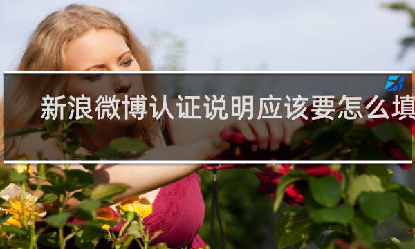 新浪微博认证说明应该要怎么填写