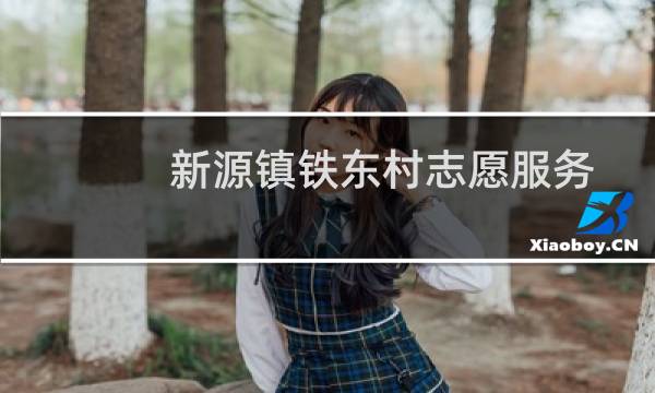 新源镇铁东村志愿服务队(关于新源镇铁东村志愿服务队的简介)