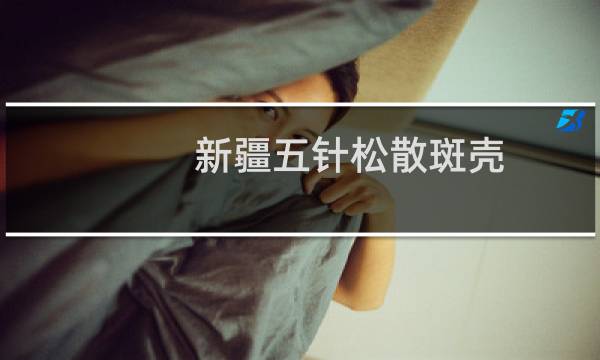 新疆五针松散斑壳(关于新疆五针松散斑壳的简介)