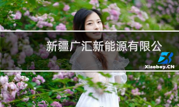 新疆广汇新能源有限公司