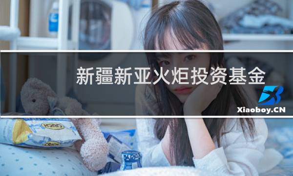 新疆新亚火炬投资基金管理有限公司(关于新疆新亚火炬投资基金管理有限公司的简介)
