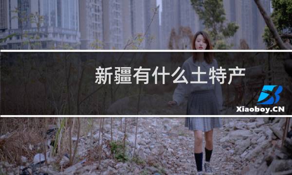 新疆有什么土特产图片
