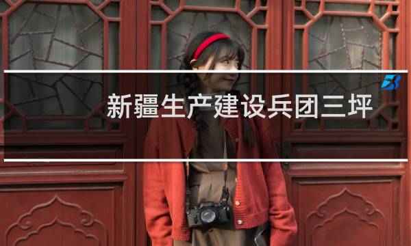 新疆生产建设兵团三坪垦区人民法院(关于新疆生产建设兵团三坪垦区人民法院的简介)