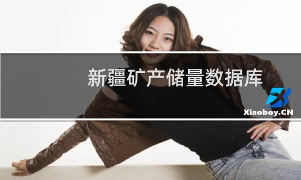 新疆矿产储量数据库(关于新疆矿产储量数据库的简介)图片