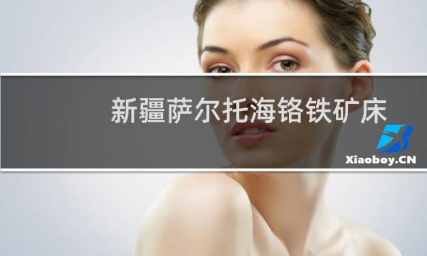 新疆萨尔托海铬铁矿床的地质特征及成矿部位研究报告(关于新疆萨尔托海铬铁矿床的地质特征及成矿部位研究报告的简介)